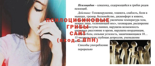 мдпв Балахна